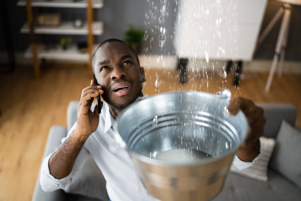 Best Basement water damage restoration  in Acushnet Center, MA
