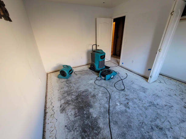 Professional Water damage restoration in Acushnet Center, MA