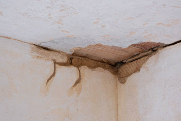 Best Water damage cleanup near me  in Acushnet Center, MA