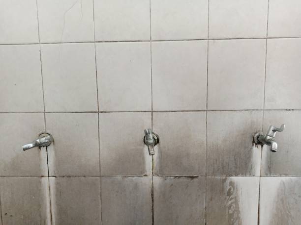 Best Professional water damage repair  in Acushnet Center, MA