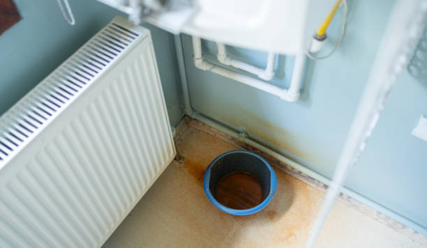 Best Flood damage cleanup  in Acushnet Center, MA