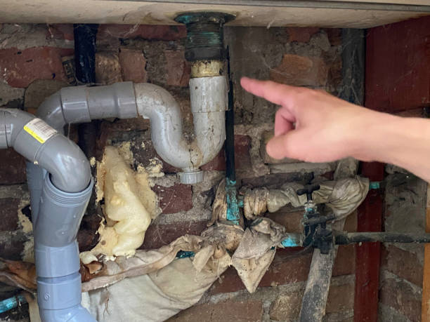 Best 24/7 water damage repair  in Acushnet Center, MA