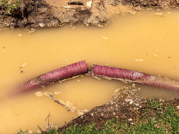 Best Commercial water damage restoration  in Acushnet Center, MA
