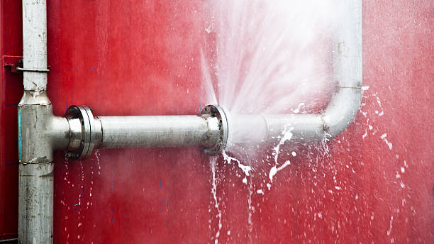 Best Carpet water damage restoration  in Acushnet Center, MA